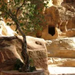 petra-la-jordanie-au-cur-de-lhistoire_149423_pghd 222