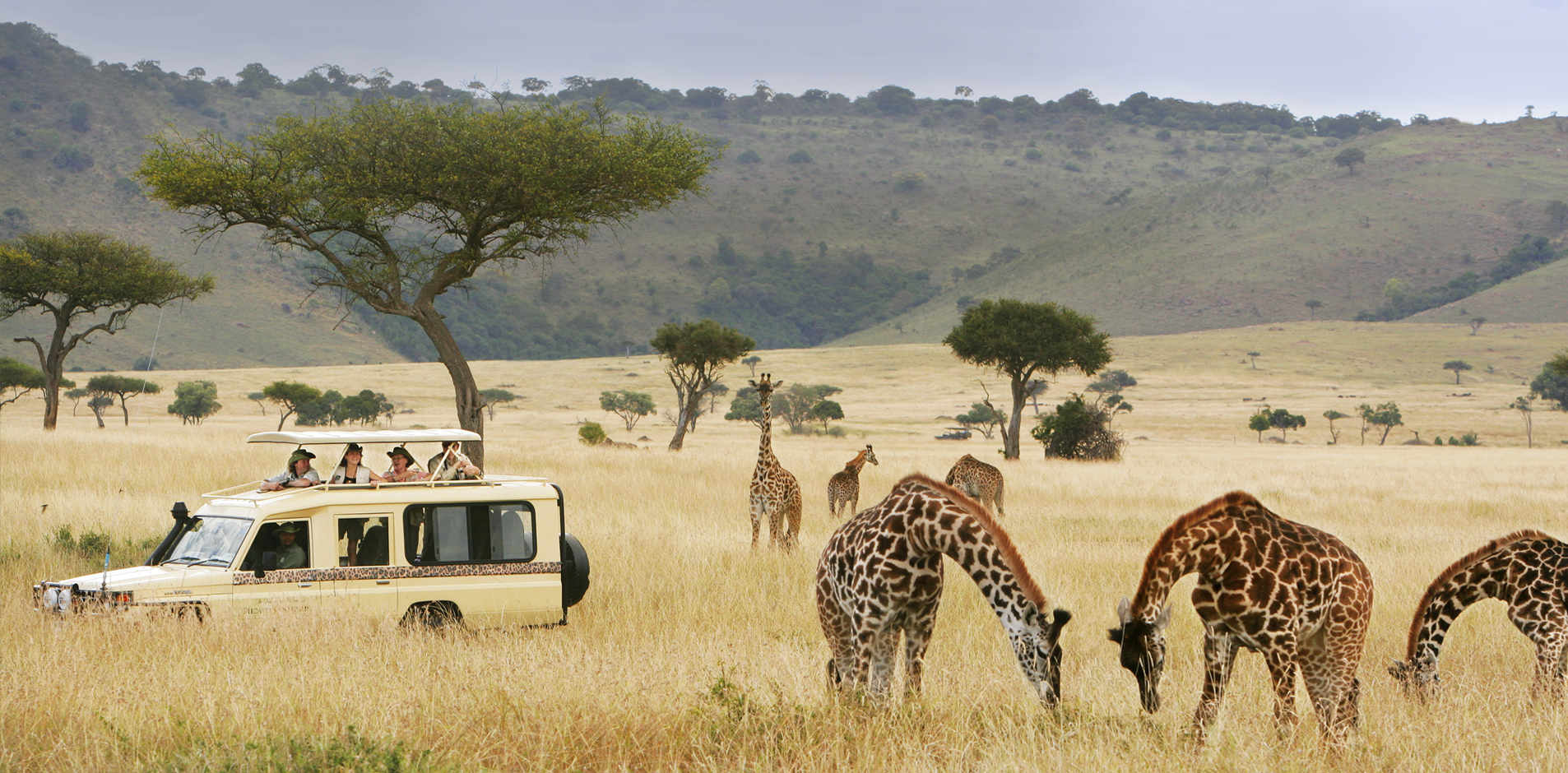 5-Days-Best-of-Tanzania-Wildlife-Safari.jpg 16
