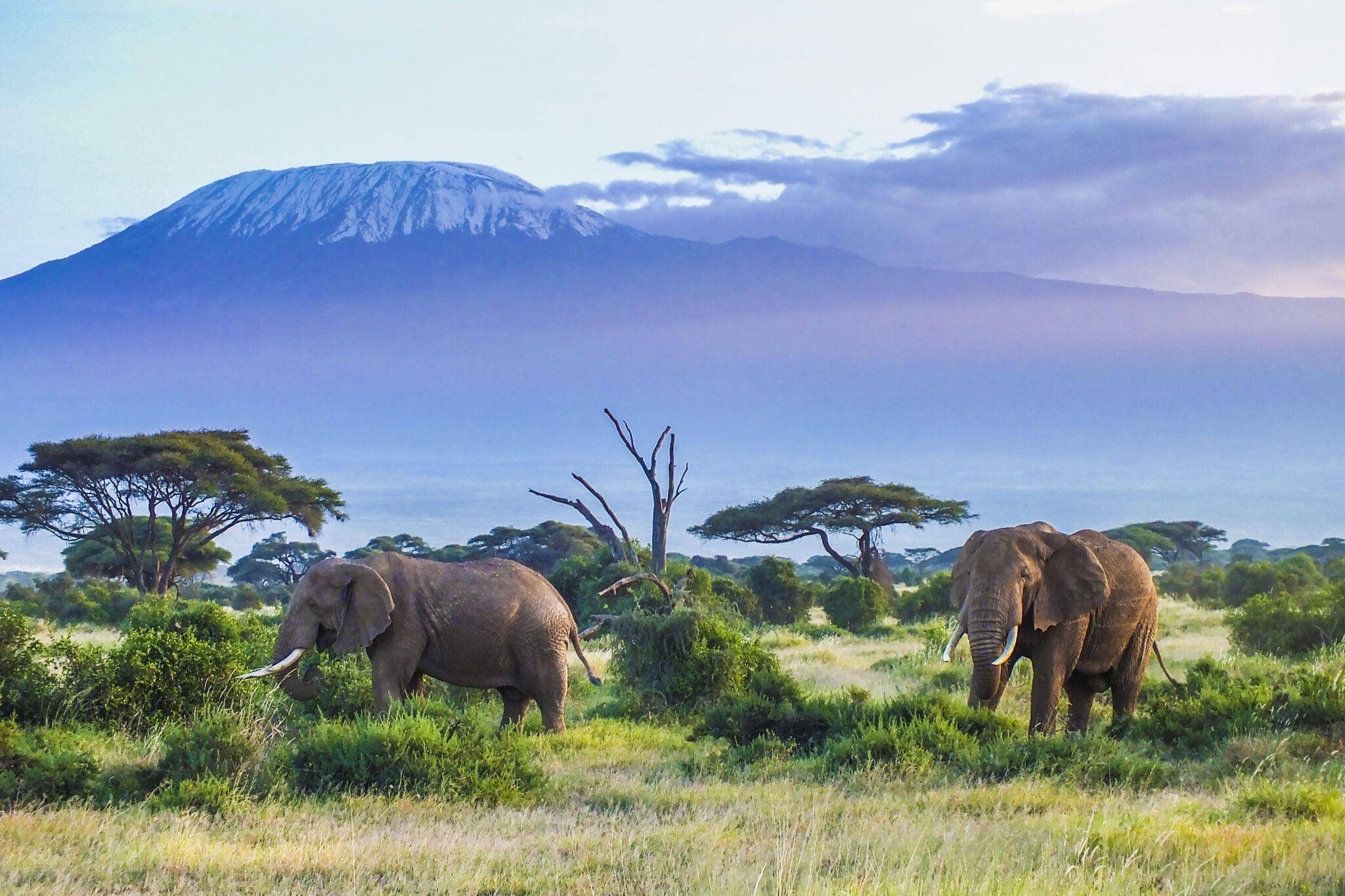 Tanzanie.jpg 7