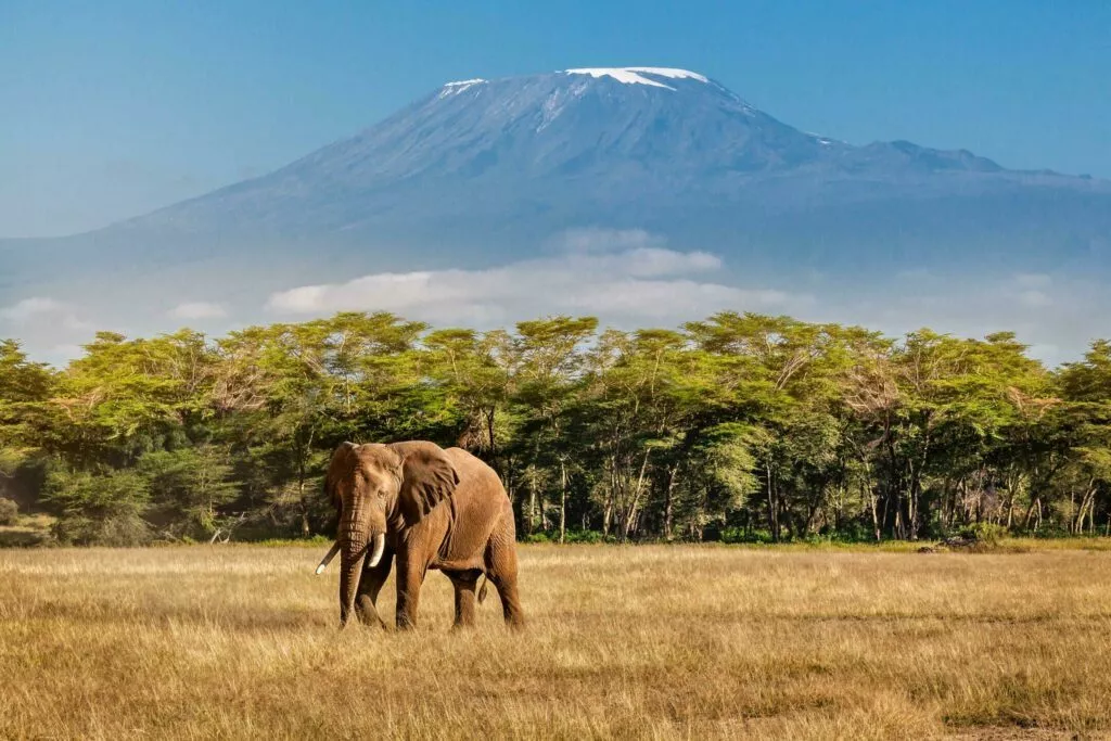 visiter-la-tanzanie-1024x683.webp 4