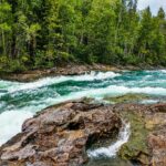 A vibrant river flows through a lush green forest, showcasing nature's beauty.